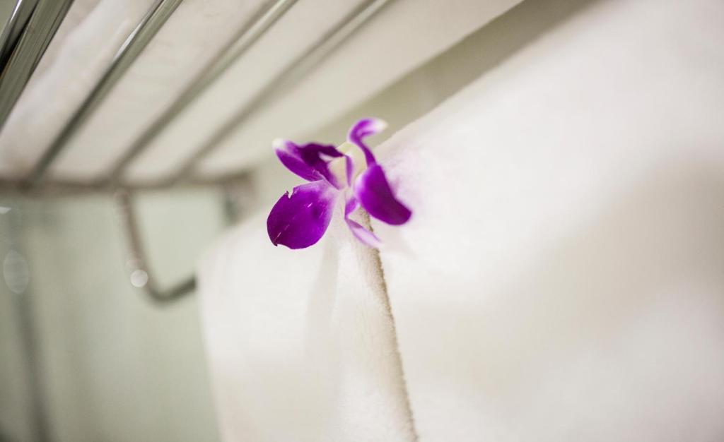 White Snow Hotel Đà Nẵng Chambre photo